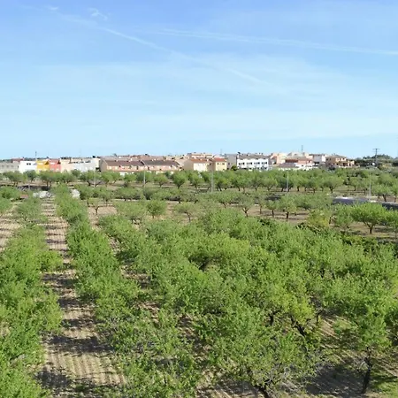 Duplex Con Gran Terraza En * Cálig